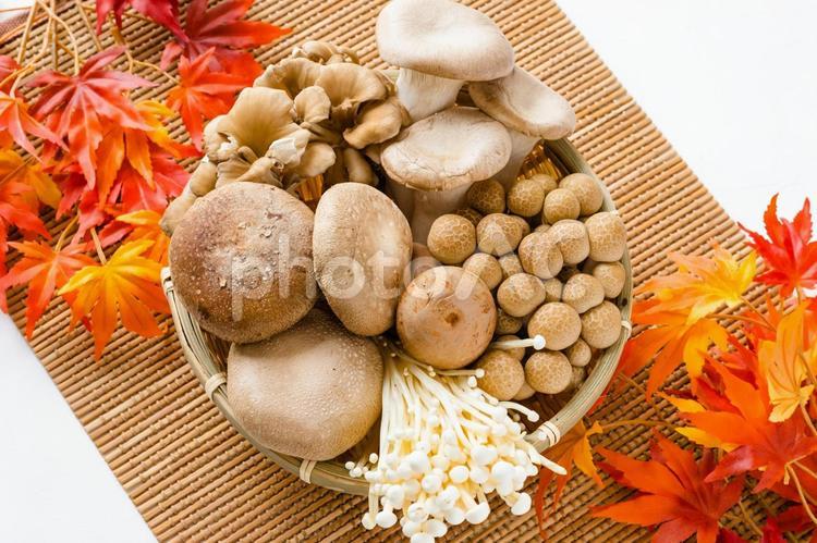 季節メニュー特集